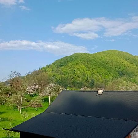 فيلا Під Горою شيشوري المظهر الخارجي الصورة