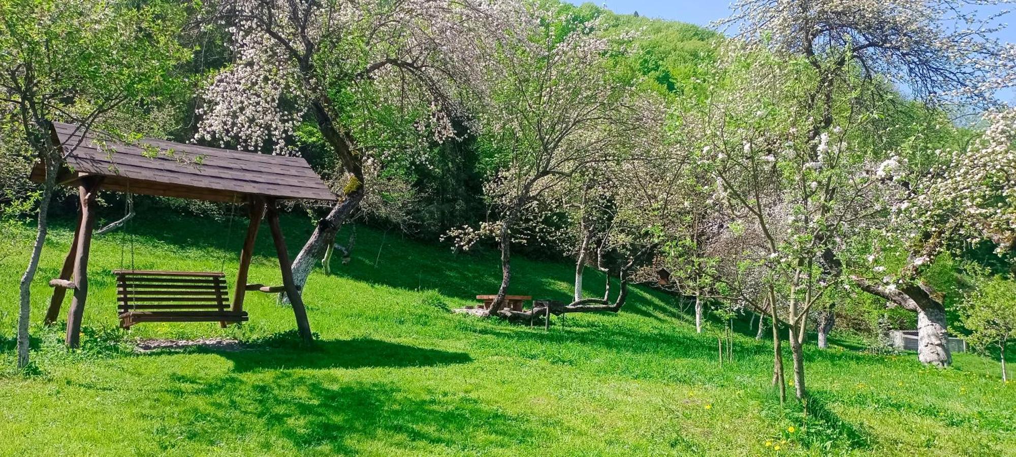 فيلا Під Горою شيشوري المظهر الخارجي الصورة